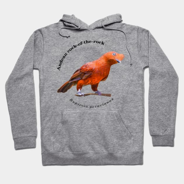 Andean cock-of-the-rock tropical bird pin black text Hoodie by Ornamentum